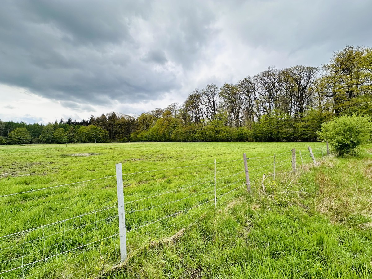 von_der_Siedlung_in_Richtung_Nord-Westen