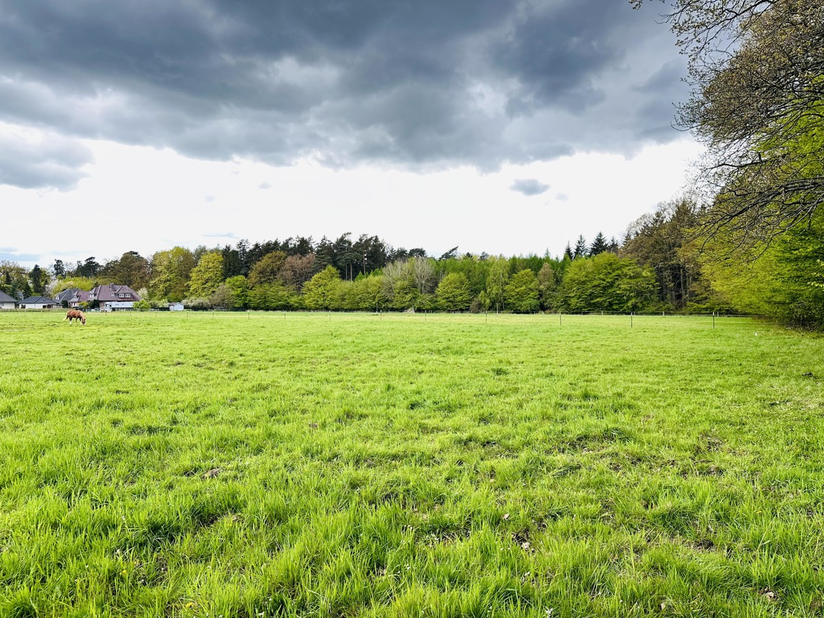 Nord_Seite_mit_Blick_auf_Siedlung_6